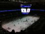 Sharks Game